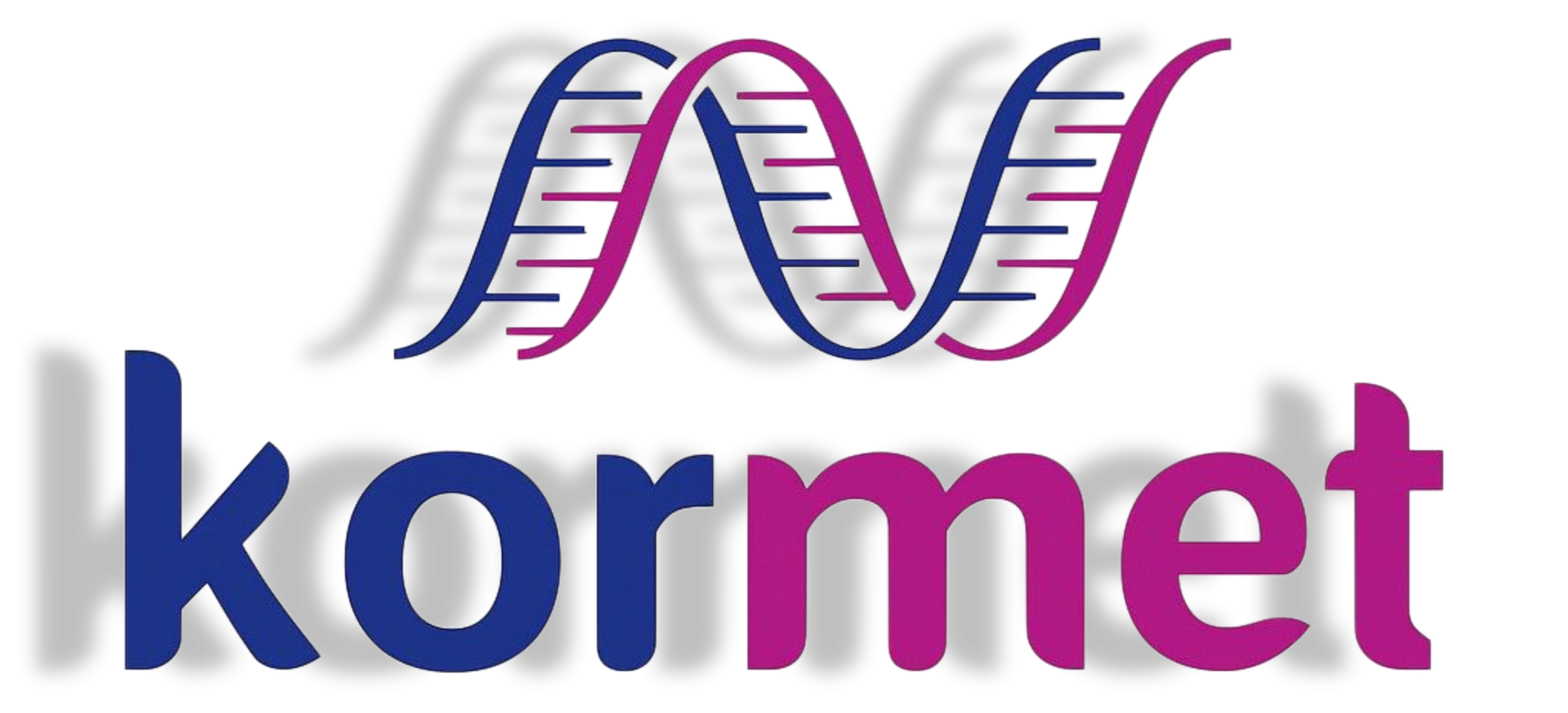 Kormet Diagnostik Sistemler